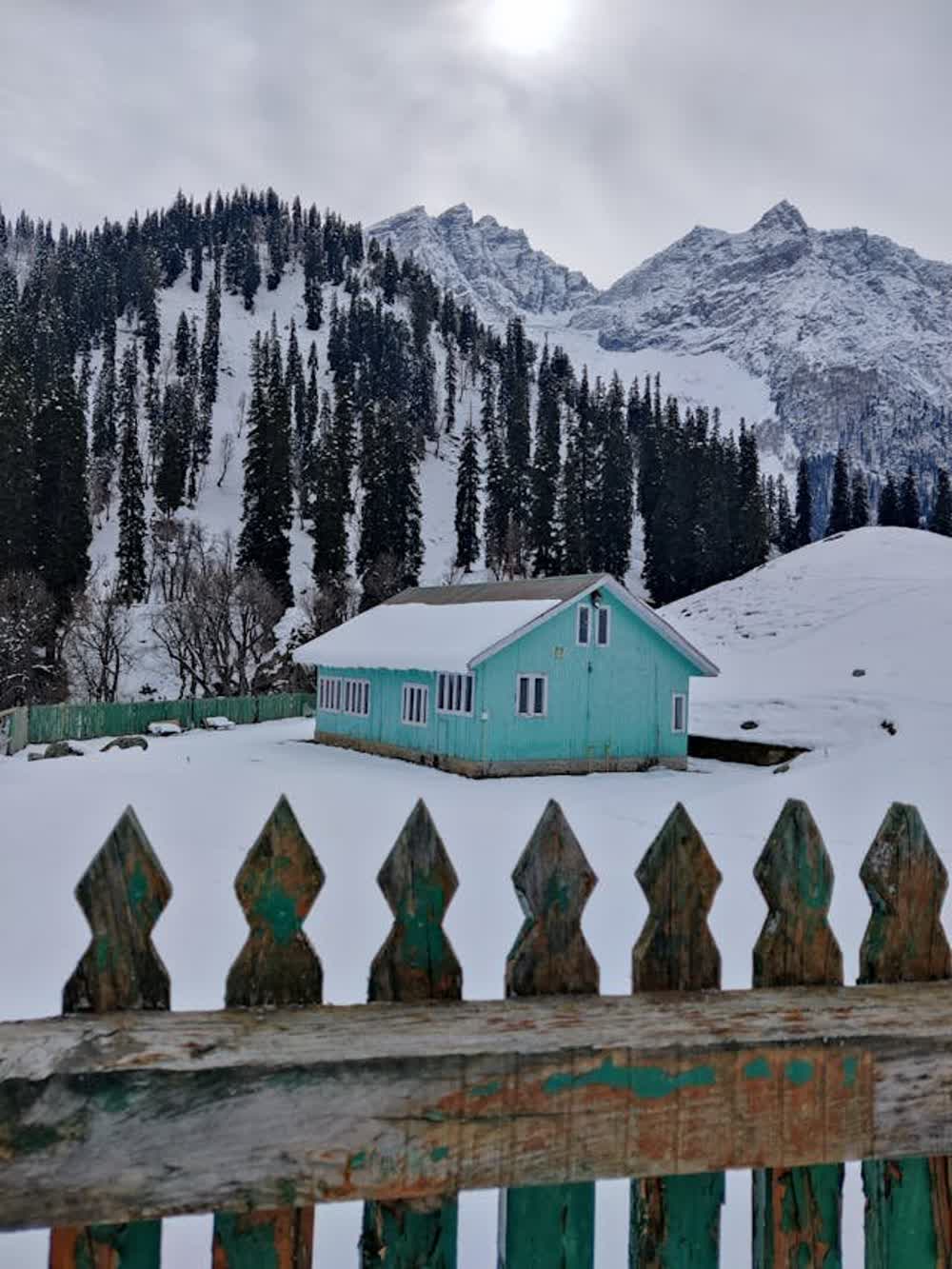 A snow-covered cottage below pine slopes behind a wooden fence in winter